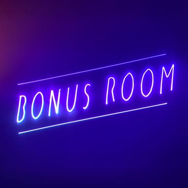 Bonus Room artist image