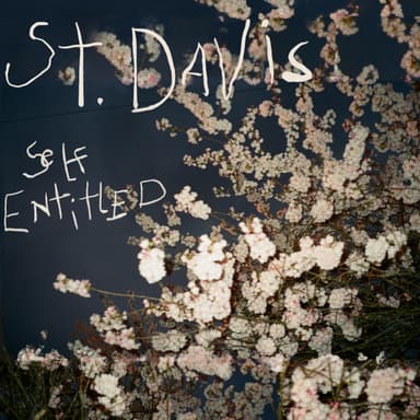 st. davis artist image
