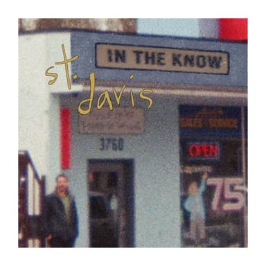 st. davis artist image